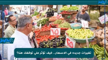 تغيرات جديدة في الأسعار.. كيف تؤثر على توقفك هنا؟